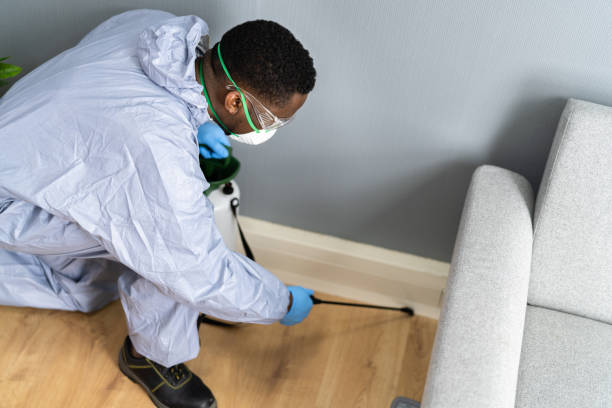 Real Estate Pest Inspections in Cape May, NJ